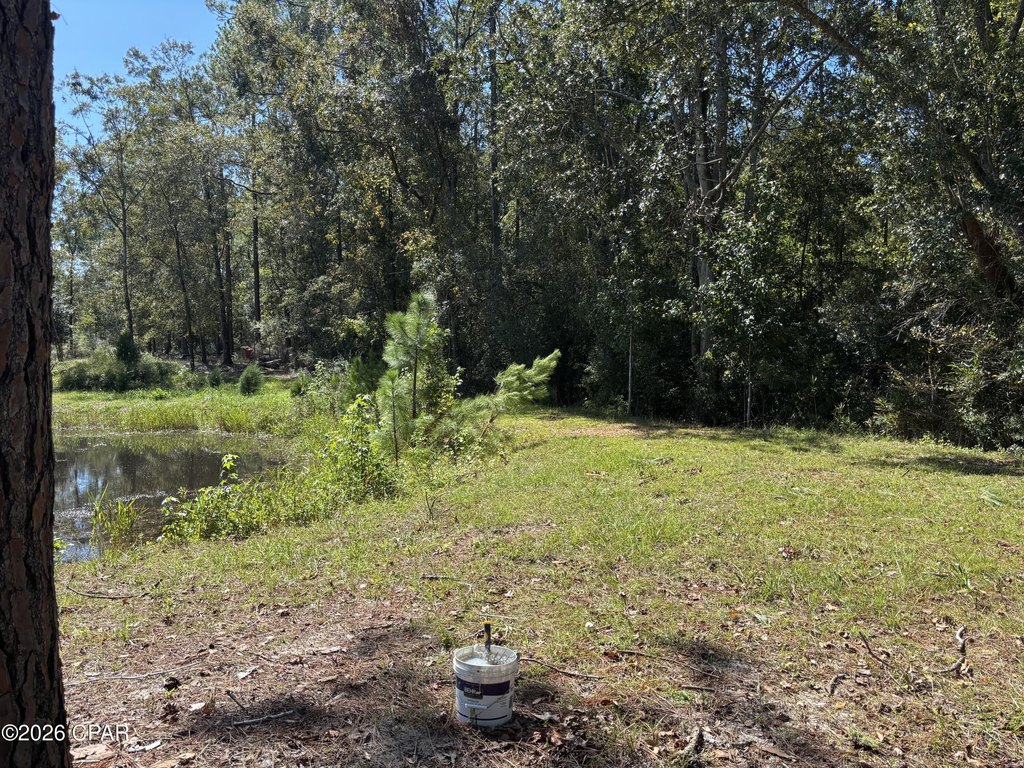 Picture 5