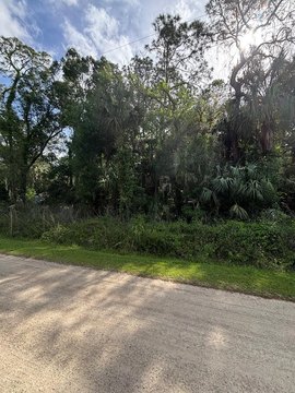 Wooded Acre in Inglis, Florida