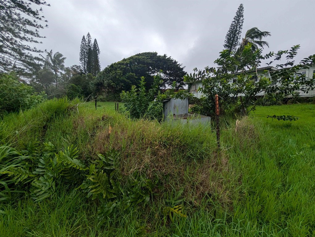 Picture 38