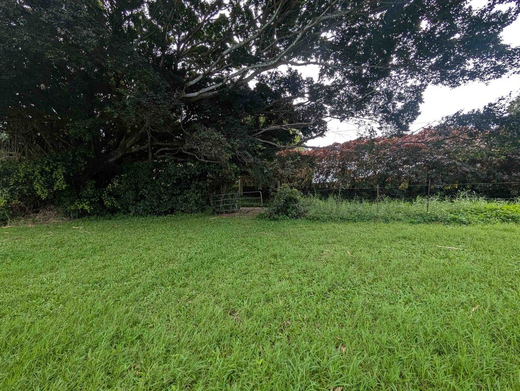 Picture 39
