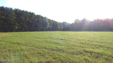 Bruce, MS Land Opportunity