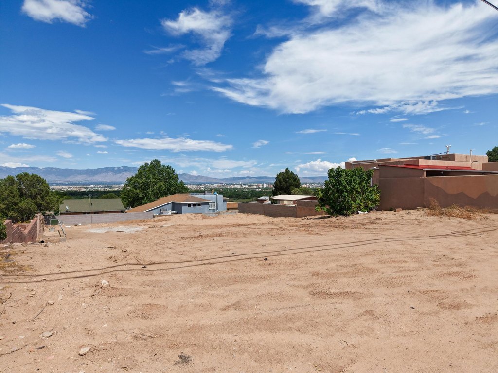 Picture 9