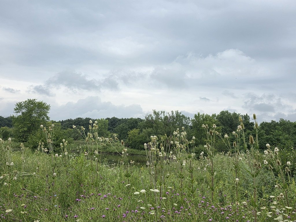 Picture 7