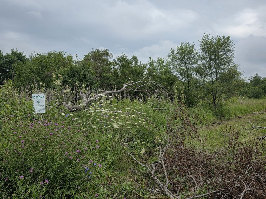 Picture 8