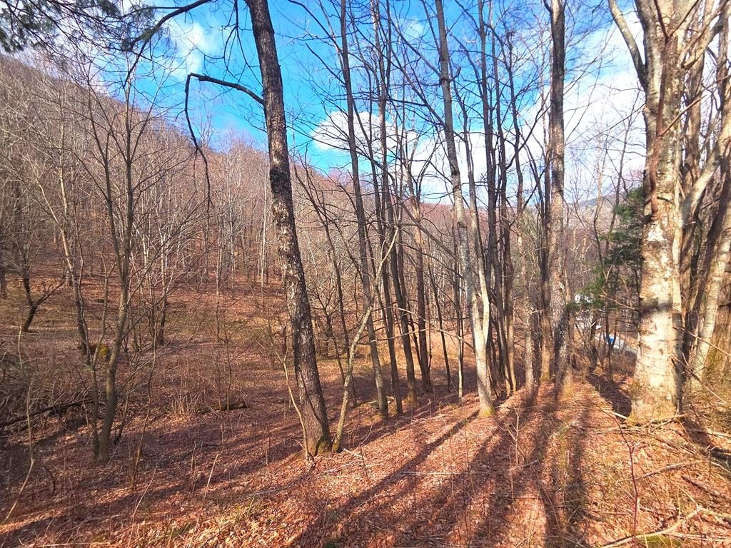 Mountain Land Near Ski Area