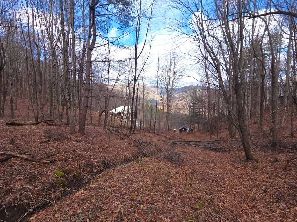 Picture 13