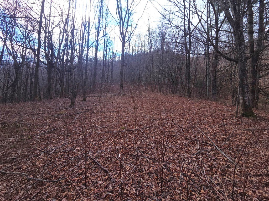 Picture 22