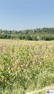 Lots and Land, Campbellsville, KY
