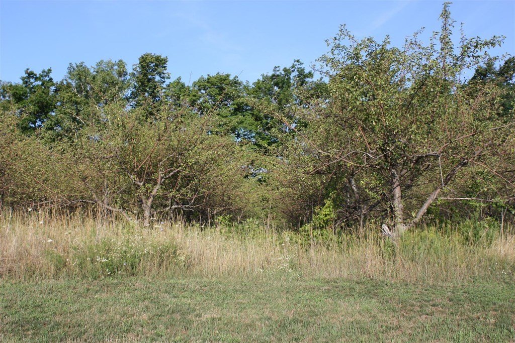 Picture 3
