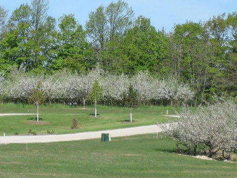 Land in Orchards Village