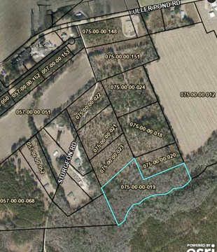 Wooded Land in Barnwell, SC