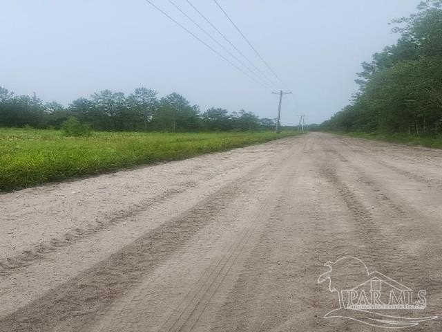 Picture 5