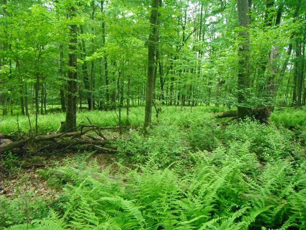 Picture 8
