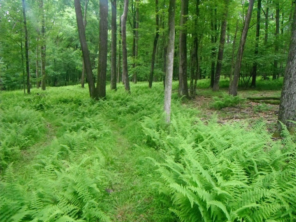 Picture 6