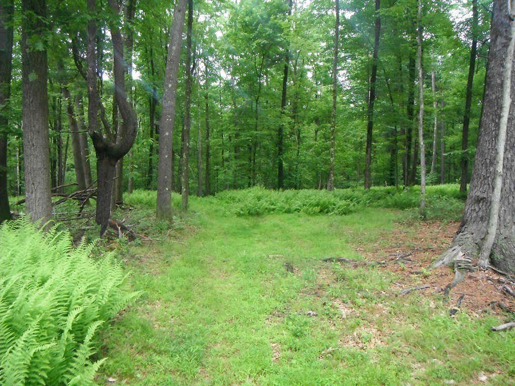 Picture 4