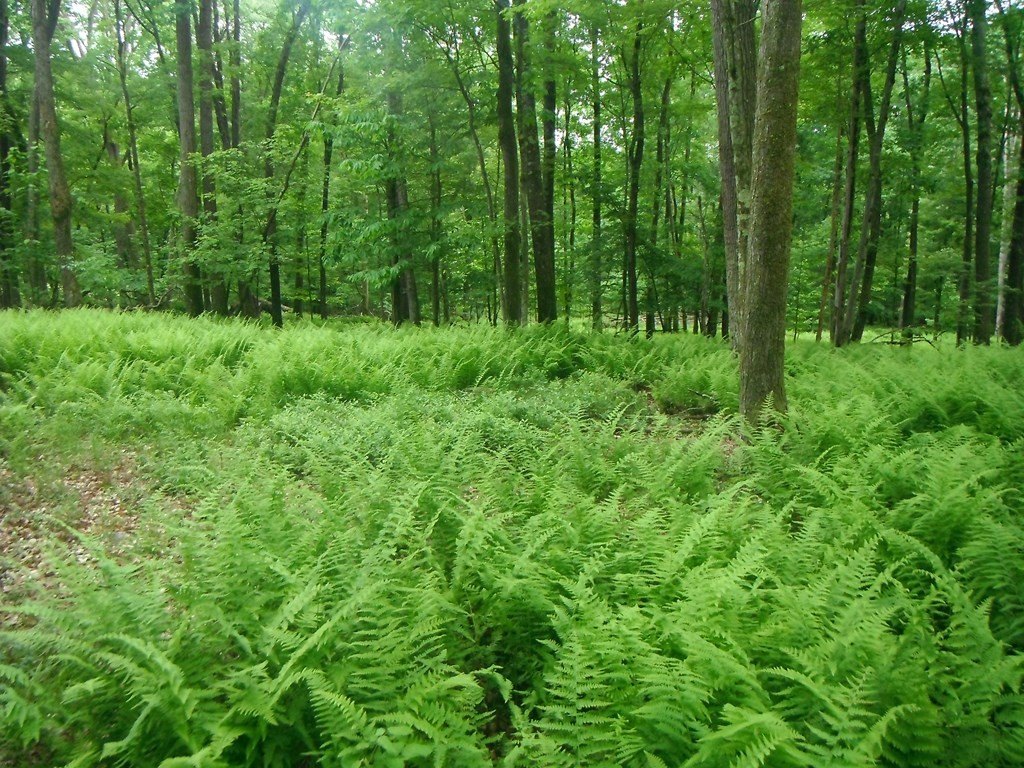 Picture 5