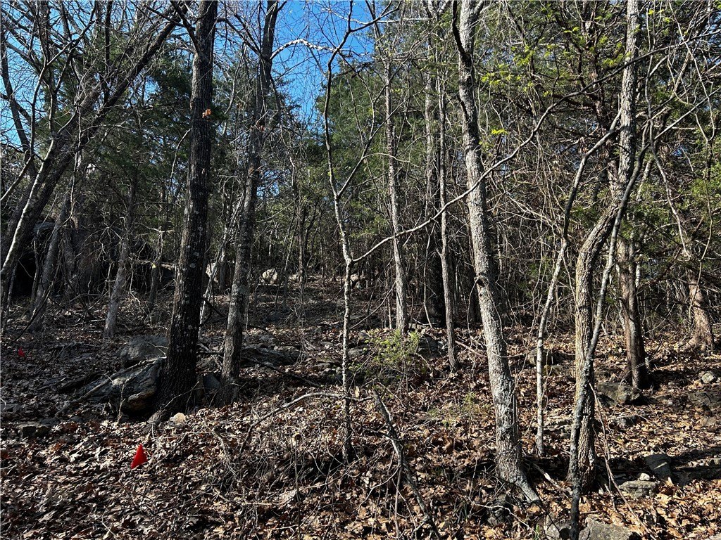 Picture 23