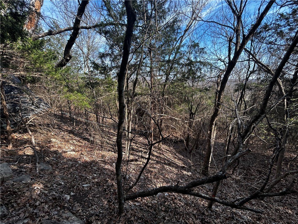 Picture 17