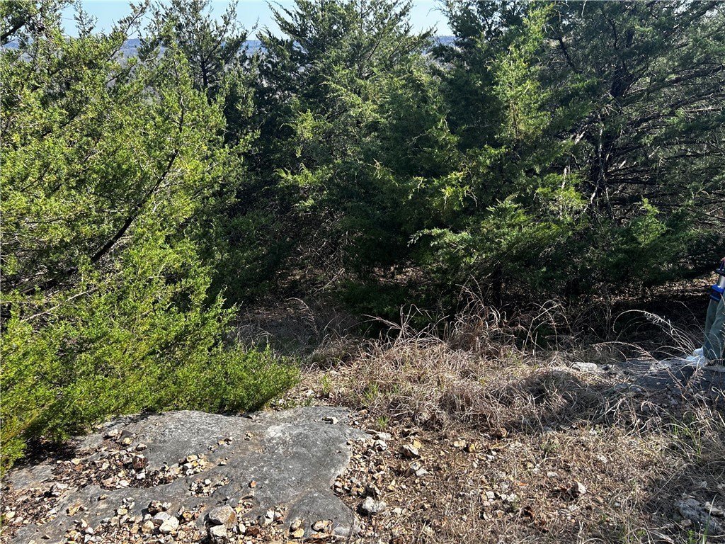 Picture 29