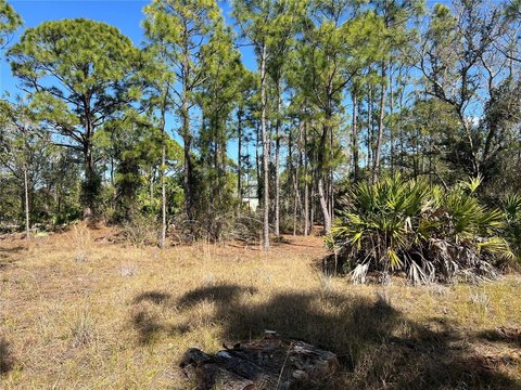 Land, PUNTA GORDA, FL