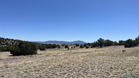 Rural Land Near Quemado, NM