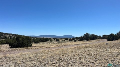 Land, Quemado, NM