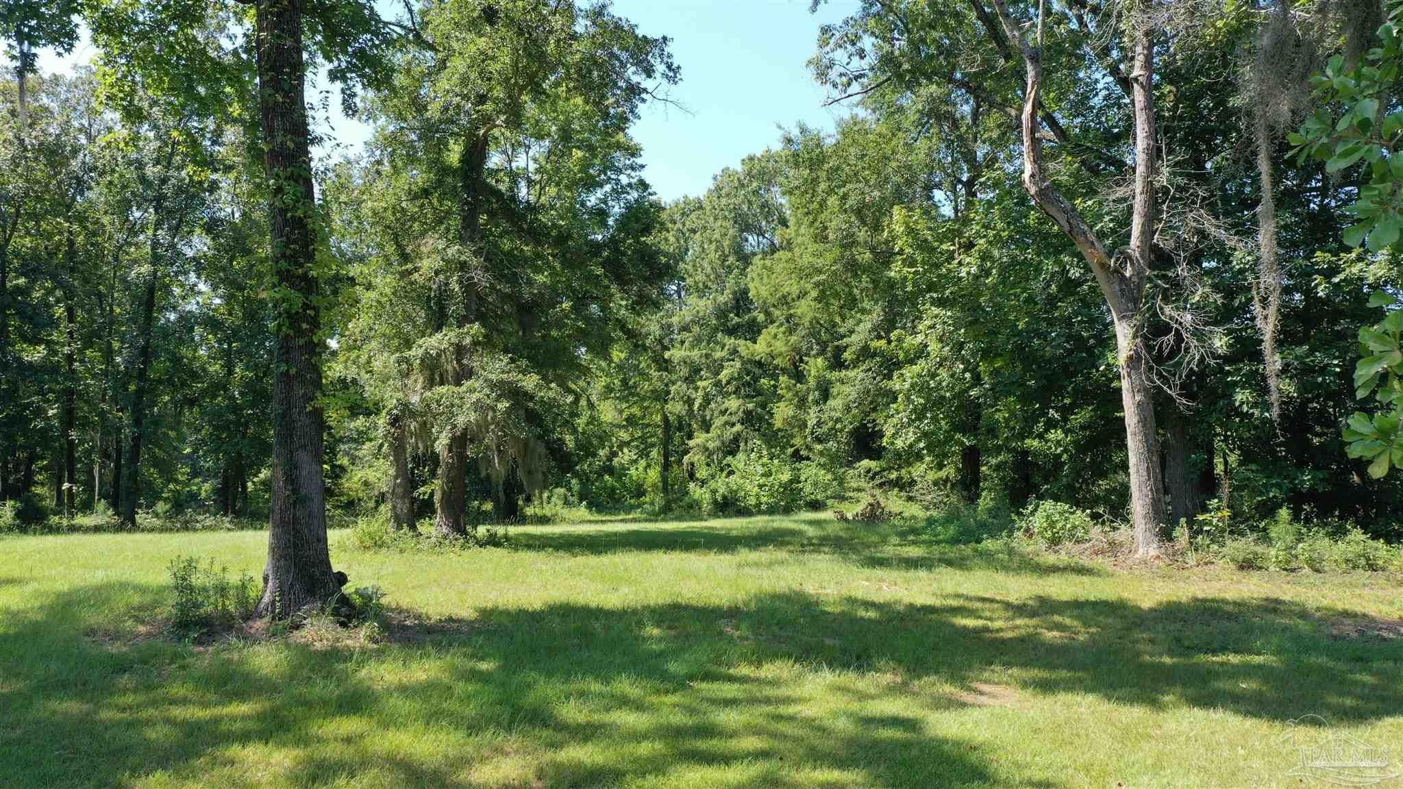 Alabama Riverfront Land For Sale