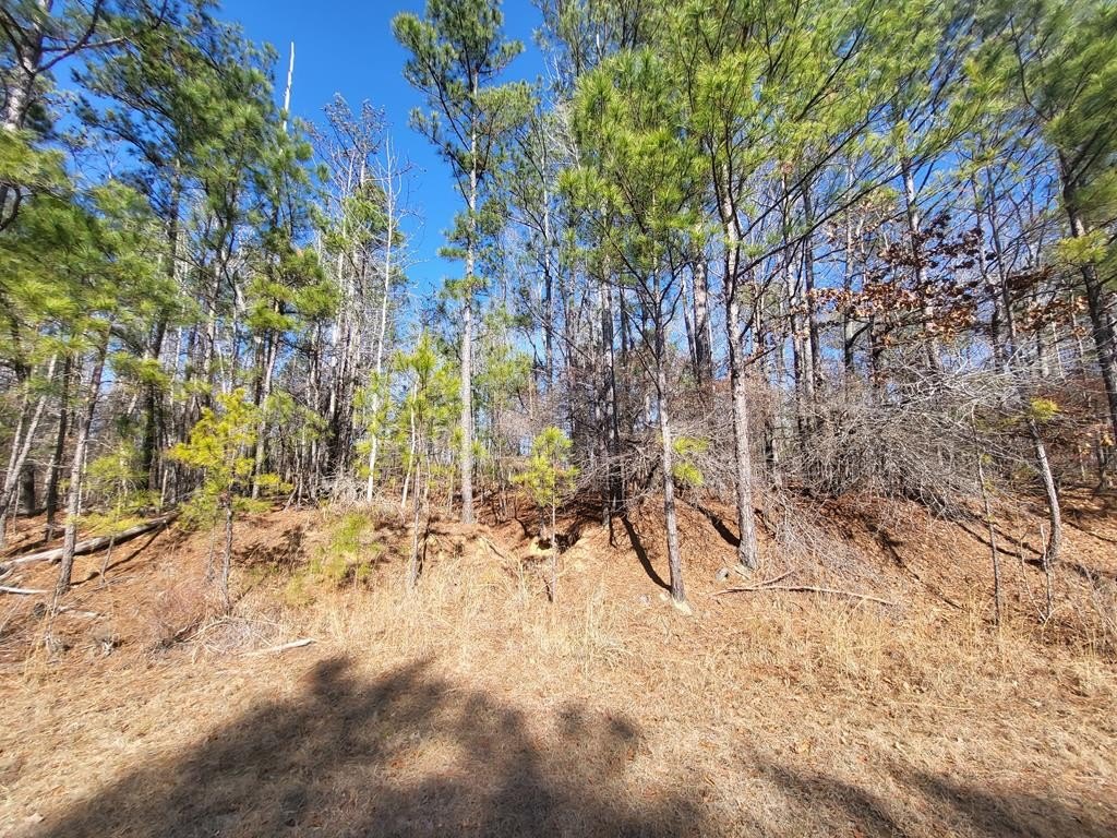 Land Near Lake Sinclair, Sparta