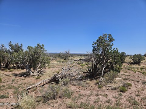 Land, Snowflake, AZ