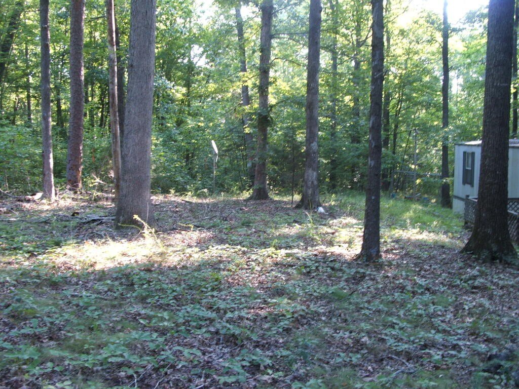 Picture 3