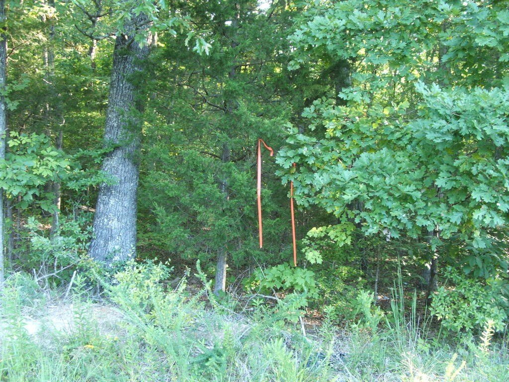 Picture 8