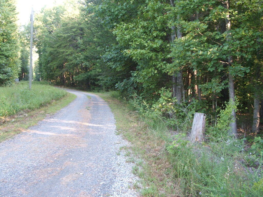 Picture 7