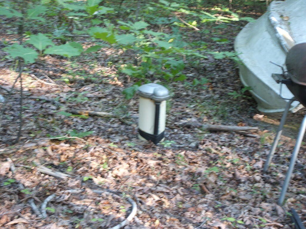 Picture 4
