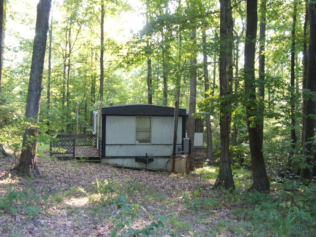 Picture 6