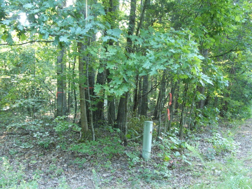 Picture 5