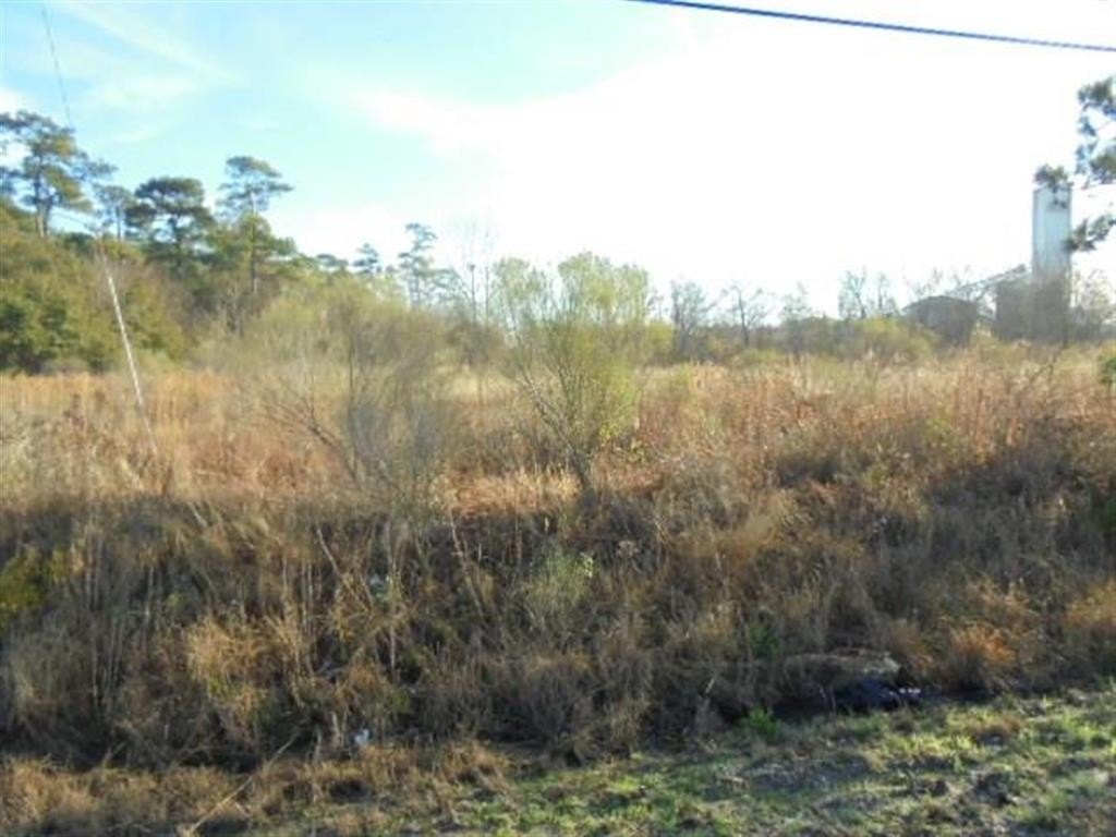 Picture 3