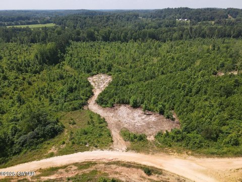 Land, Bath Springs, TN