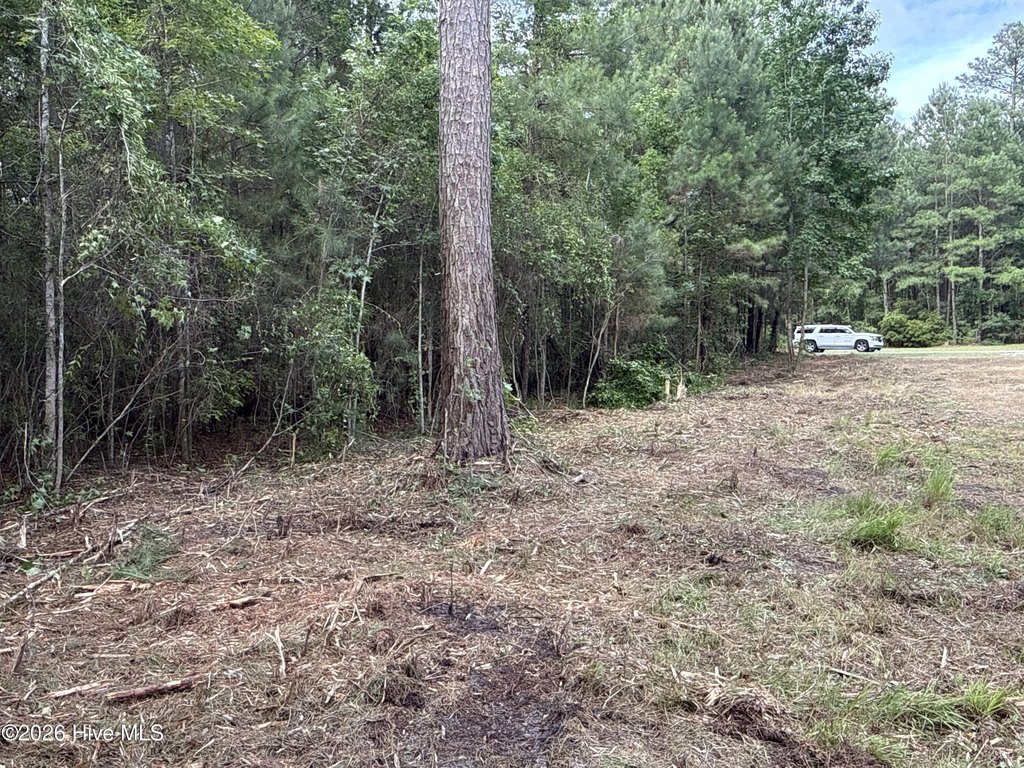 Picture 14
