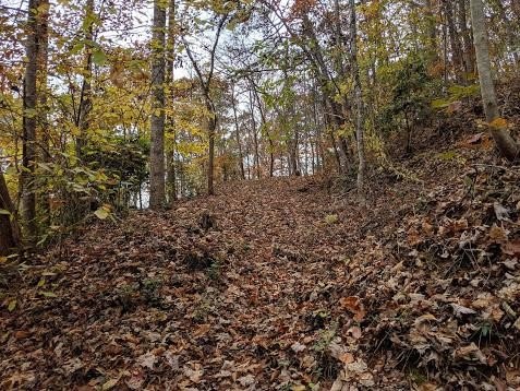 Residential Land in Sylva, NC
