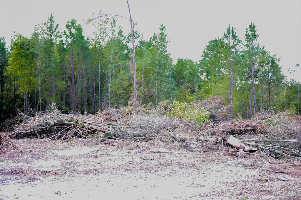 Picture 9