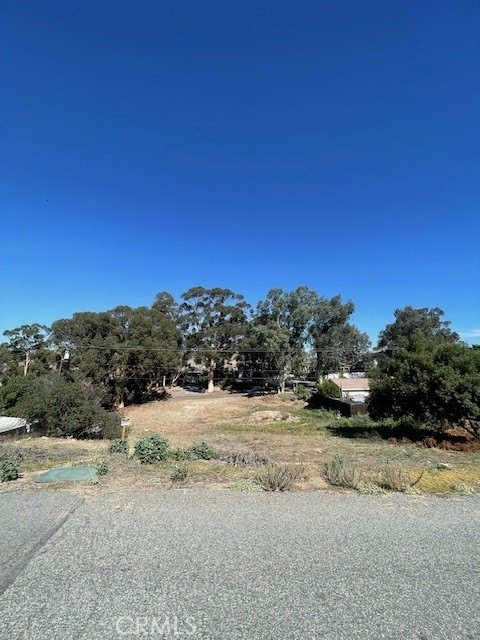 Picture 3