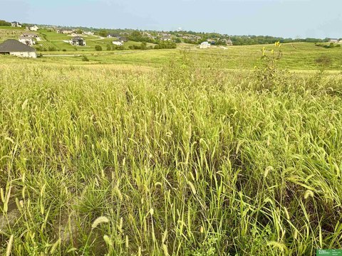 Acreage Lot in Gretna, Nebraska