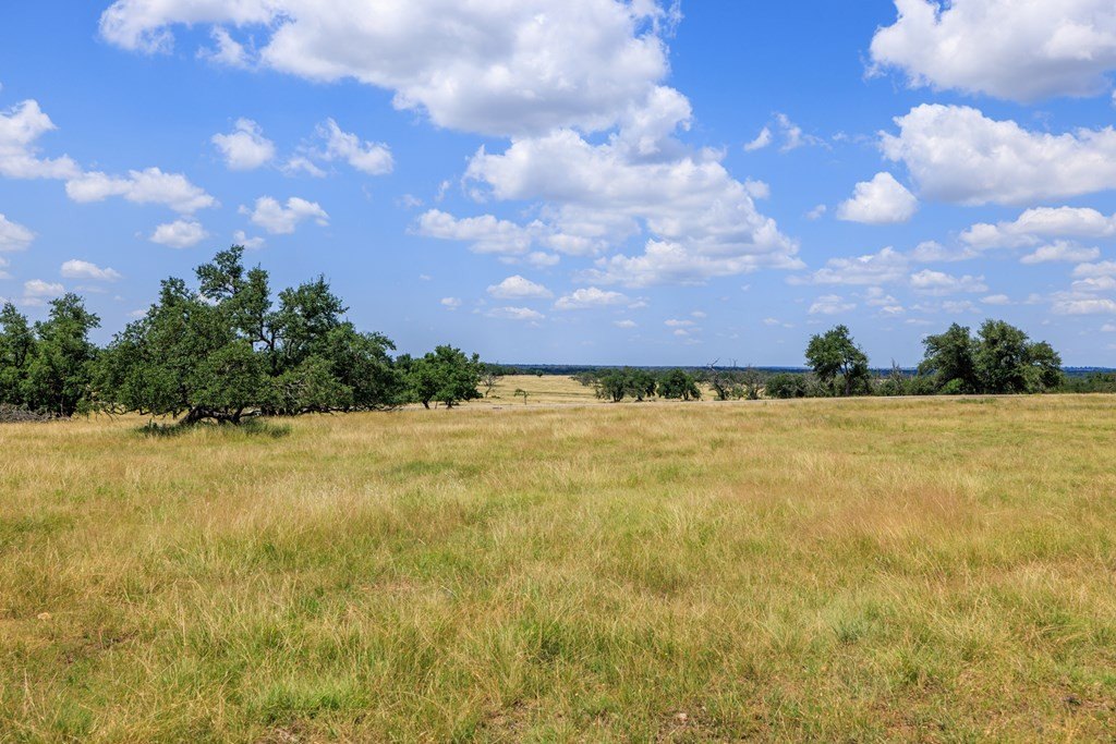 Picture 37