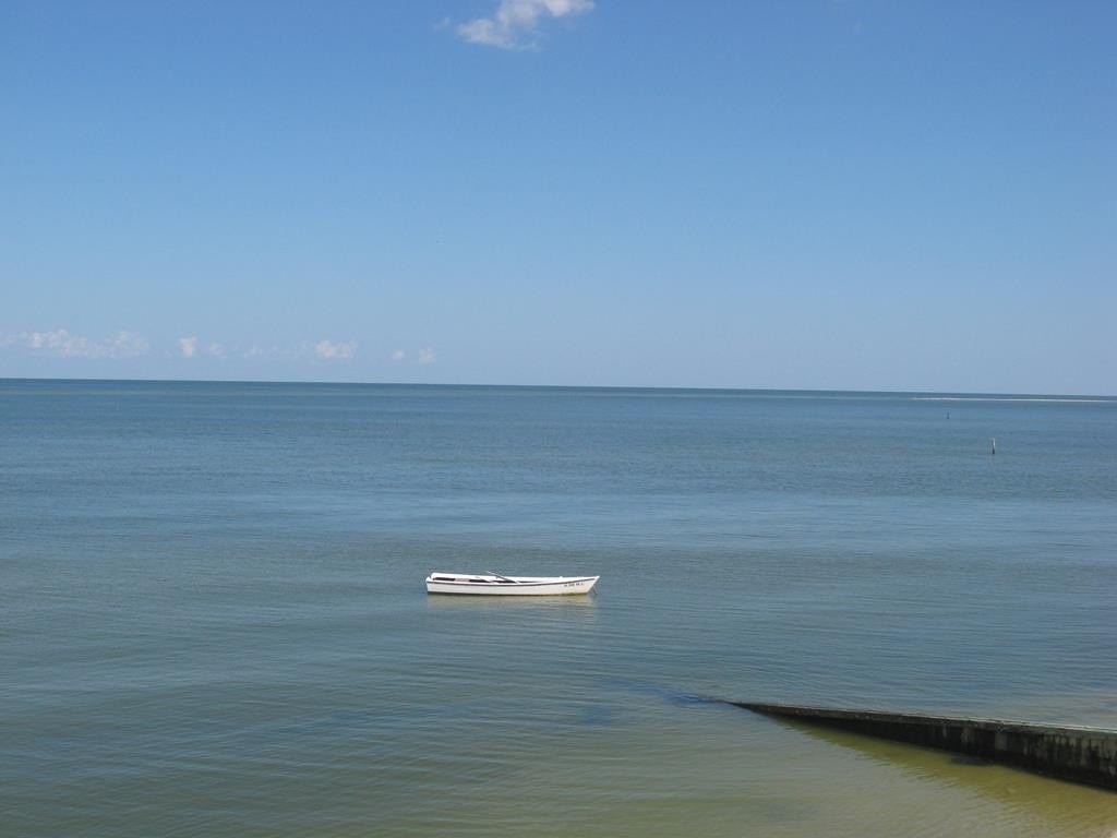 Picture 6