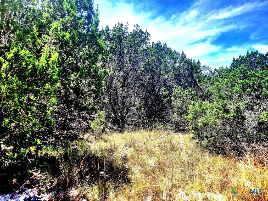 Land in Beautiful Hill Country