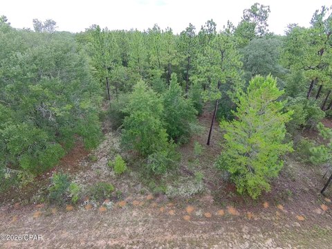 LAND - Chipley, FL