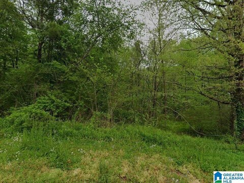 LAND - TRUSSVILLE, AL