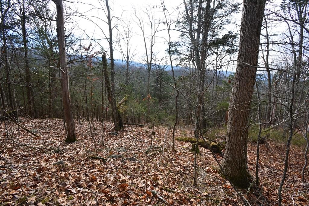 Pounding Mill Land For Sale