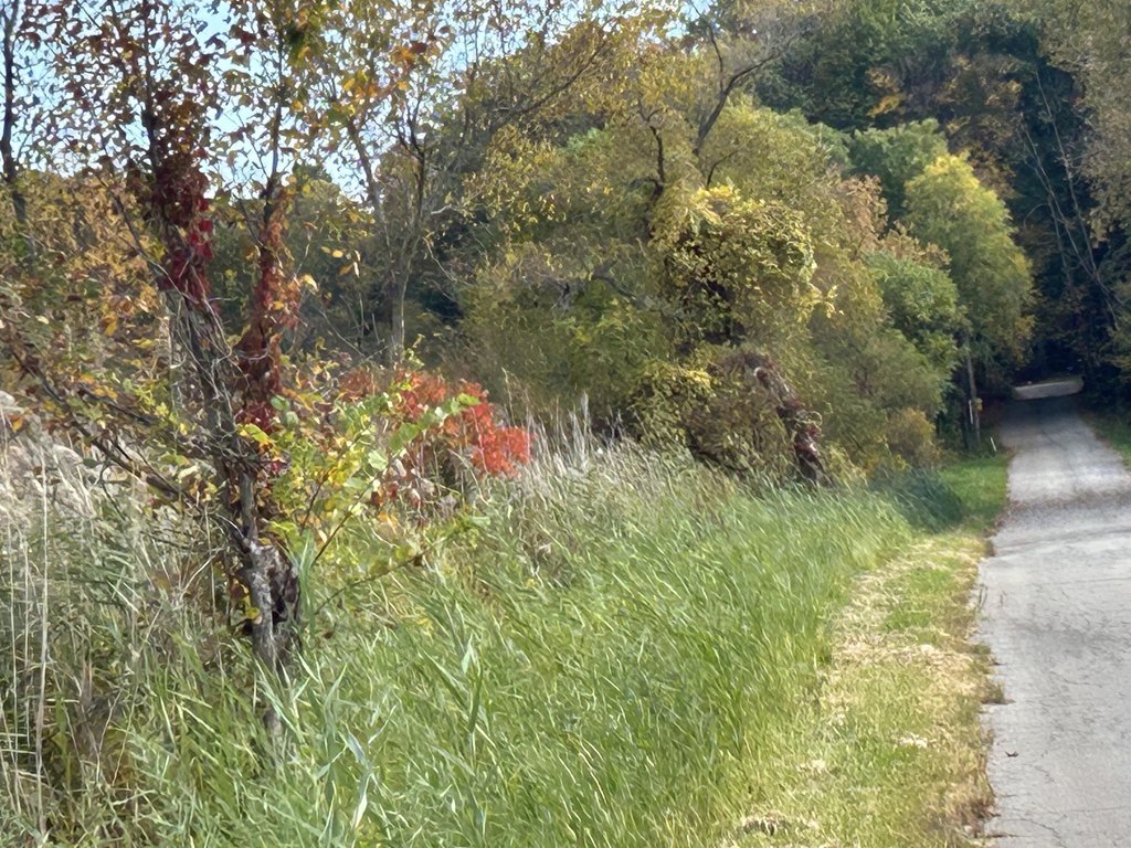Picture 21