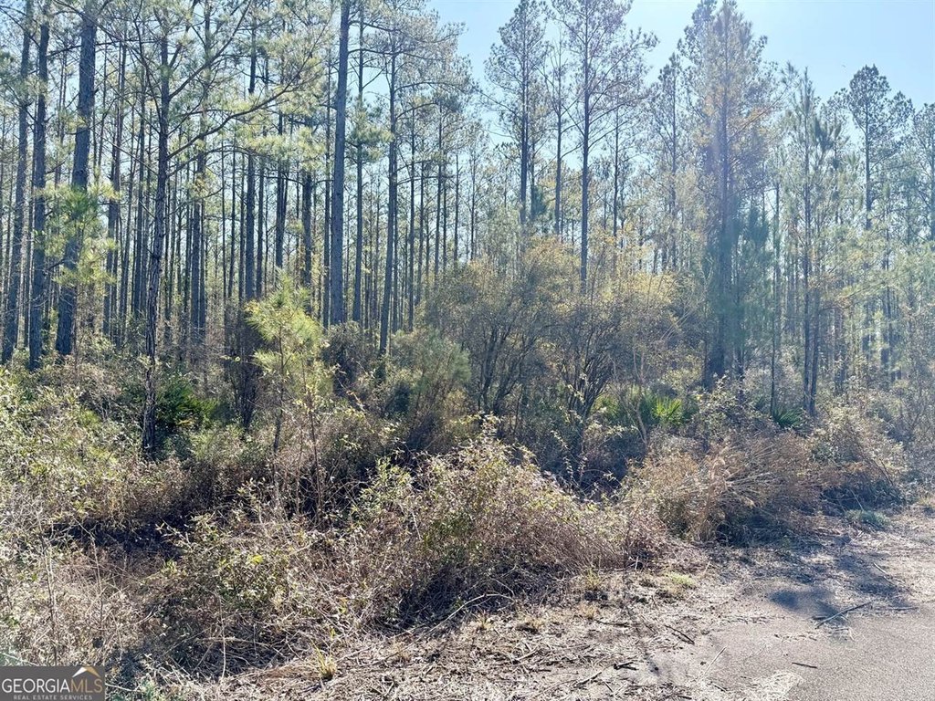 Picture 3